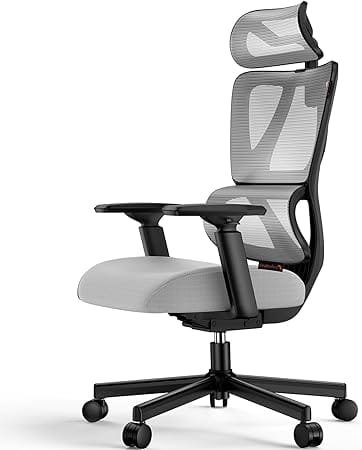 ProtoArc Ergonomic Office Chair