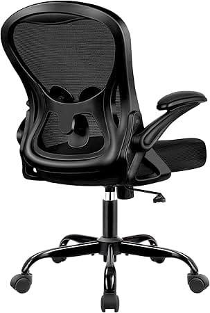 Winrise Ergonomic Office Chair