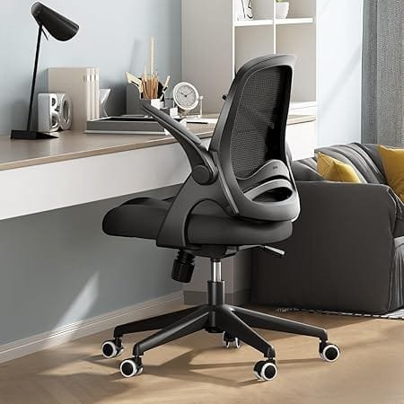 Hbada Ergonomic Office Chair