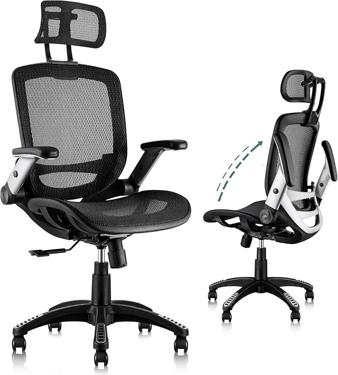 GABRYLLY Ergonomic Office Chair