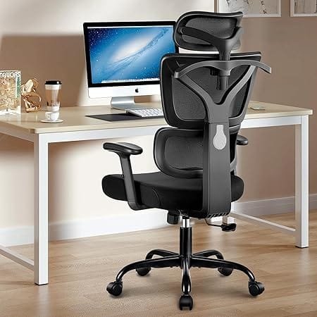 Winrise Ergonomic Office Desk Chair