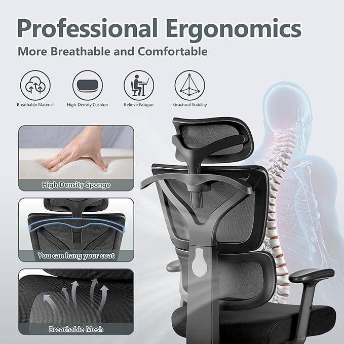 Winrise Ergonomic Office Desk Chair