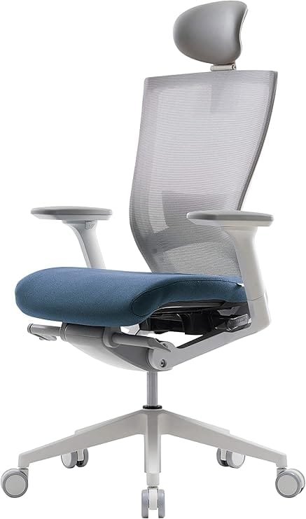 SIDIZ T50 Ergonomic Office Chair