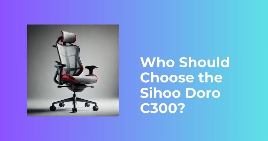 Who Should Choose the Sihoo Doro C300?