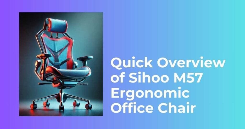 Quick Overview of Sihoo M57 Ergonomic Office Chair