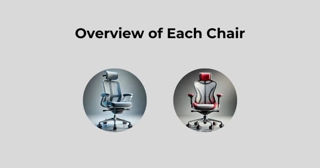 Overview of Each Chair