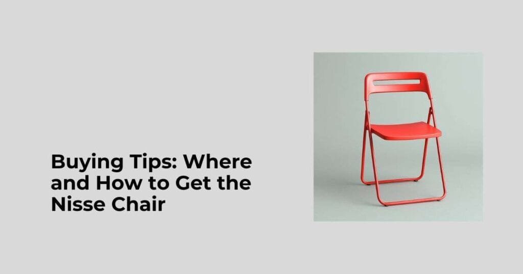 Buying Tips: Where and How to Get the Nisse Chair