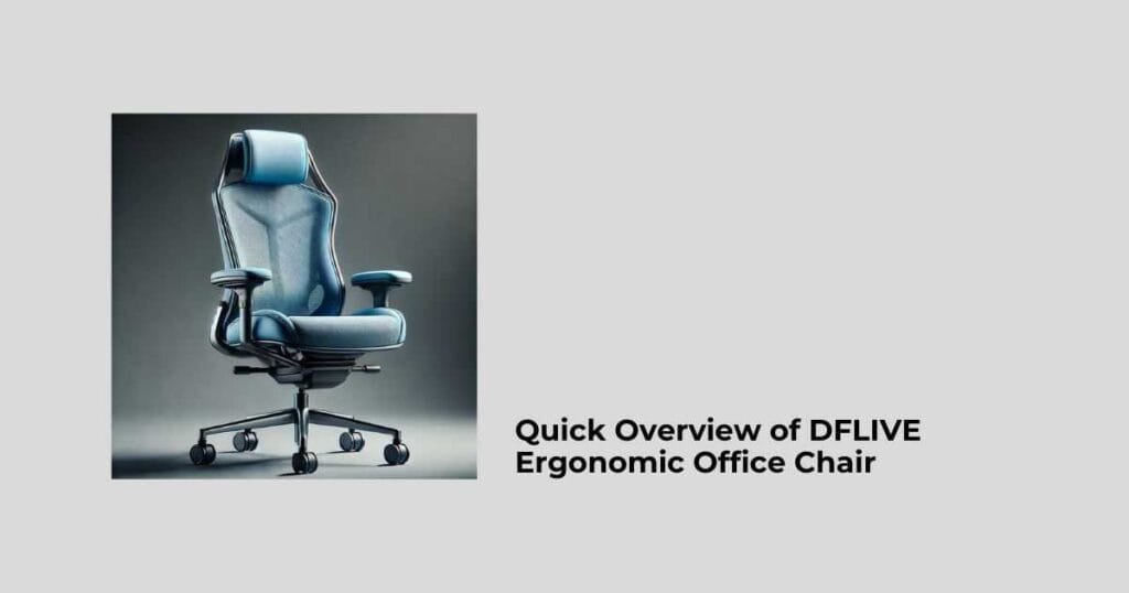 Quick Overview of DFLIVE Ergonomic Office Chair