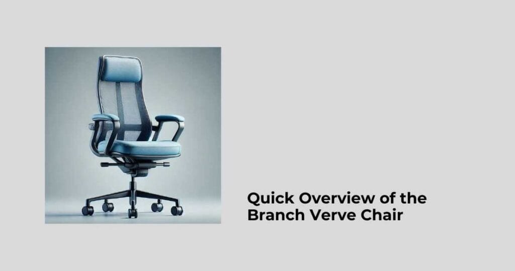 Quick Overview of the Branch Verve Chair