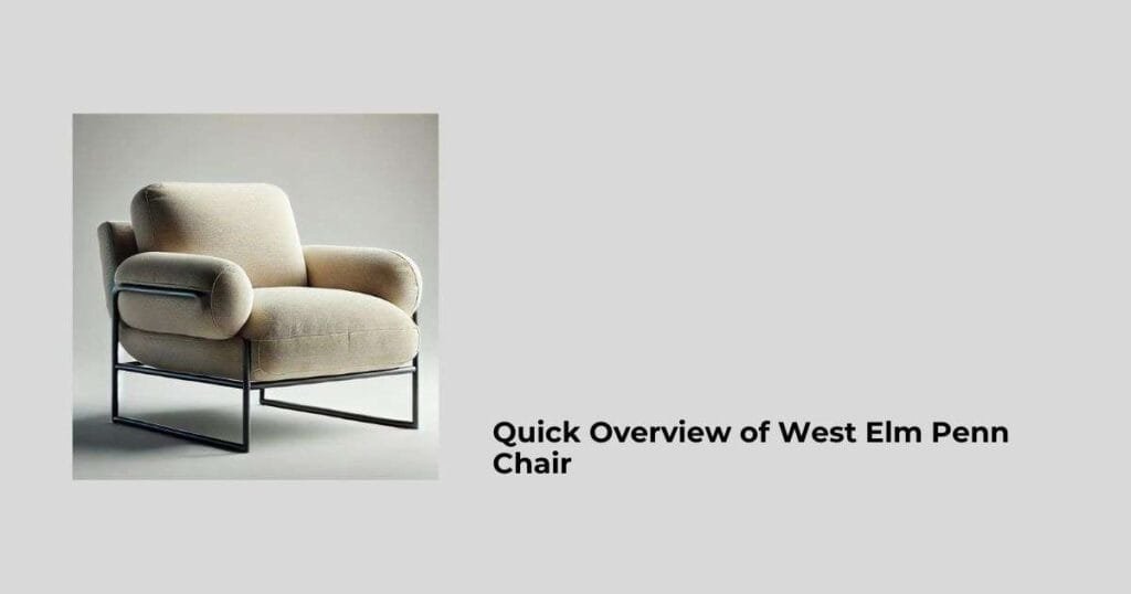 Quick Overview of West Elm Penn Chair
