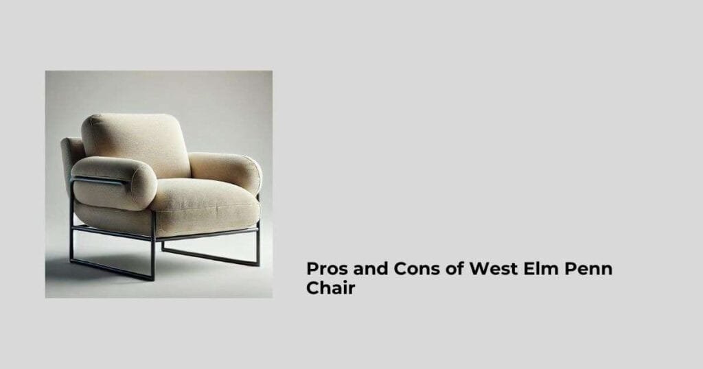 Pros and Cons of West Elm Penn Chair